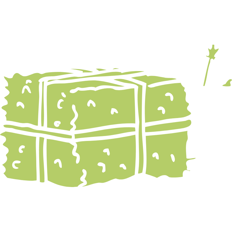 Imagen forraje de avena verde