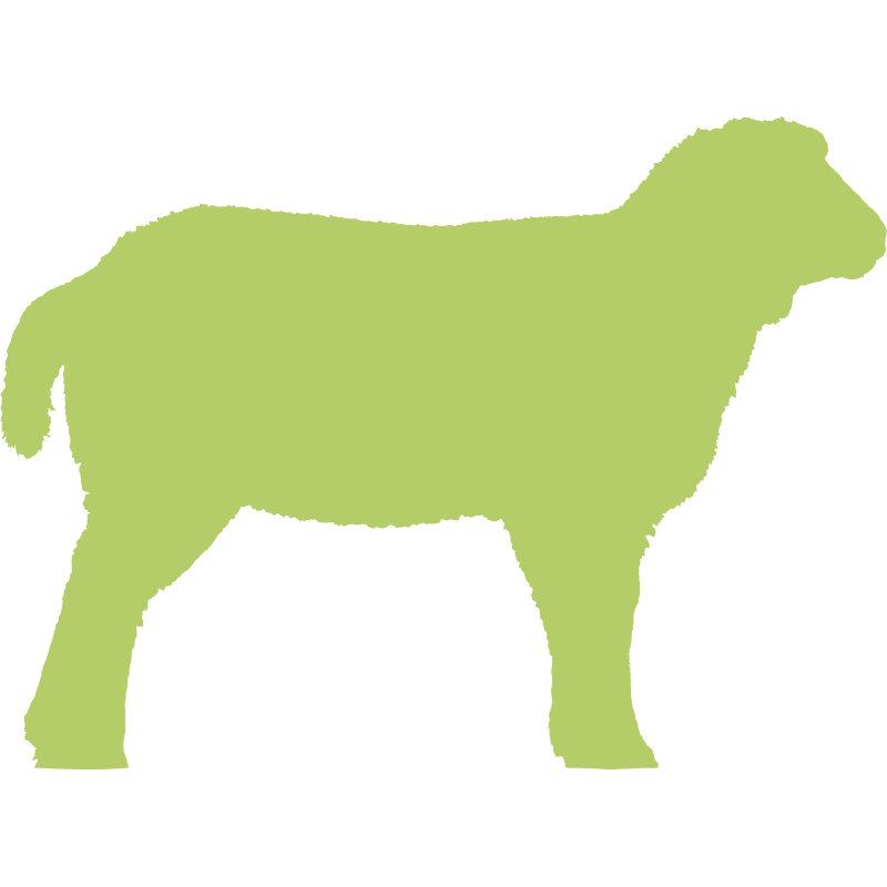 Icono de cordero verde